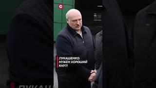 Лукашенко: Нужен хороший кнут! #лукашенко #новости #политика #беларусь #shorts