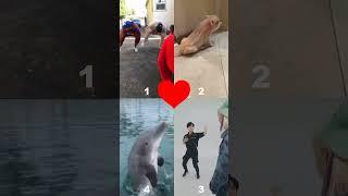 wow you can really dance #memes #viral