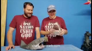 Spotlight on the 1:8 Scale "Shh.shh Shelf Sharks"!