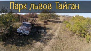 Парк львов Тайган. Один из крупнейших сафари-парков в Европе / Субботние Путешествия