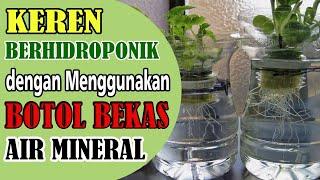 KEREN. Cara Berhidroponik dengan Menggunakan Botol Bekas Air Mineral #Belajar Hidroponik