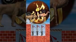 bakra laray bado badi #islamicvideos #shortvideo
