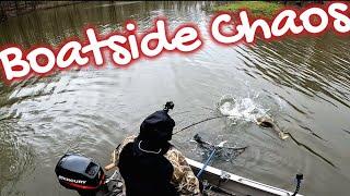 WEST VIRGINIA FISHING - BOATSIDE MUSKY STRIKES!!!