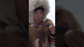  Как коренные жители Крайнего Севера восполняют дефицит витаминов