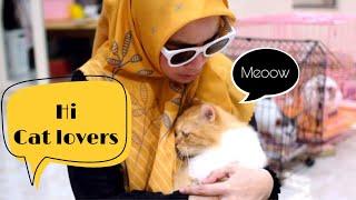 Pecinta Kucing, Cat Lovers , I love Cats