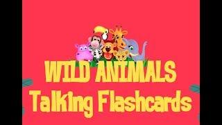 Wild Animals Talking Flashcards