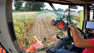 Cab View | Mais Silage | Fendt Katana | BMWW | 2020