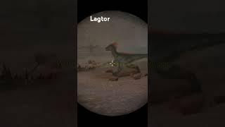 Lagtor is moon walking