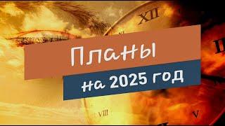 Планы на 2025год.