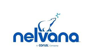 Logo Evolution: Nelvana Limited (1971-Present) [Ep 84]