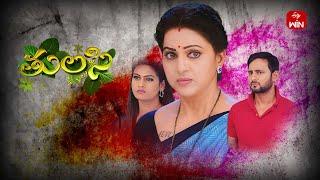 Thulasi | 24th October 2024 | Full Episode 251 | ETV Plus