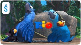 Rio (2011) | Scene: Rafael and kids