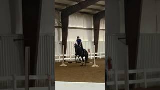 how many strides? when we get to 1.2k you guys can rate my riding, Q&A and give tips!! Stay tuned!!