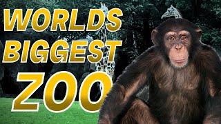 I Explored The Worlds LARGEST Zoo