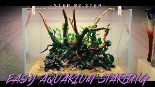 Легкий запуск аквариума / Easy Aquarium Startup