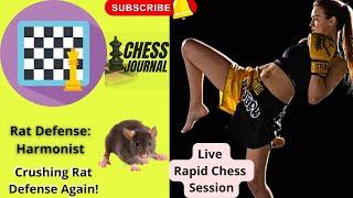 Rat Defense: Harmonist | Crushing Rat Defense Again! | Please Subscribe