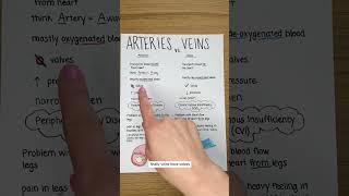 Arteries vs Veins: Easy Way to Remember! 🩸#nursingschool #nclex #nursingstudent