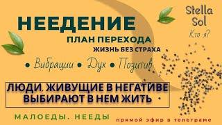 Неедение | Ответы На Вопросы [достойный эфир] #высокиевибрации #неедение #ясновидение  #установки