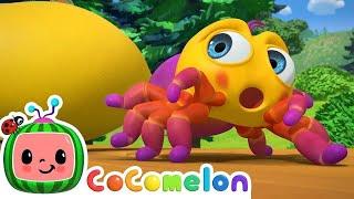 Itsy Bitsy Spider  CoComelon Nursery Rhymes & Kids Songs Time for Music! 