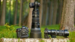 Top 6 Best Nikon Lenses for Wildlife Photography