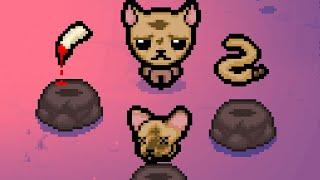 Me transformo en Cricket  [The Binding of Isaac]