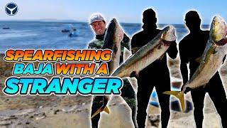 I Drove Into Baja With A Stranger To Spear Yellowtail