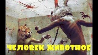 Приколы \ Неудачи \ Падения \ Идиоты \ Человек животное \ Подборка от Best Video #37