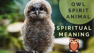 Why YOU Keep Seeing Owls | Owl Spirit Animal  | Owl Spiritual Meaning and Mythology