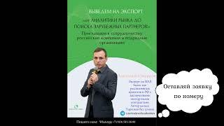 Поможем выйти на зарубежные рынки (Торговля без границ)