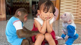 Yen Nhi with Cutis & baby monkey carry out a daring plan that shocks fans