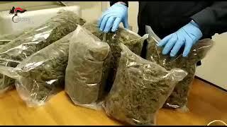 sequestro 10 chili Marijuana da Carabinieri ca