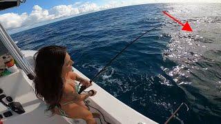 Dropping CHUNKS of FISH in 60 feet of Water For Fish that Bite SWIMMERS. SHARK BITE CAPITAL !!