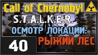 СТАЛКЕР - Call of Chernobyl - #40 [Осмотр локации РЫЖИЙ ЛЕС]