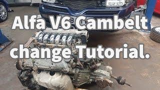 Alfa Romeo 3.0 V6 Busso Cambelt change tutorial gta 2.5 3.0 3.2