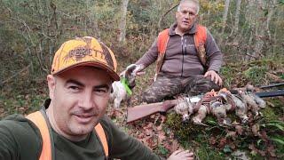 Çulluk Avı 2024 Woodcock Hunting Ercan Pointer Setter Beccaccia TÜRKİYE