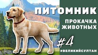 Великий Султан. ВСЕ СПОСОБЫ ПРОКАЧКИ ПИТОМЦЕВ ‍⬛ ПИТОМНИК #4. Кодекс. Монеты. Эссенции и прочее