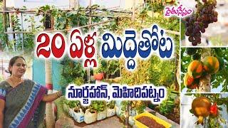 20 Years Old Terrace Garden @ Hyderabad || Noorzahan || Rythunestham