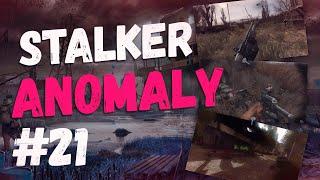 Anomaly - играем за ИИГ  СТРИМ #21
