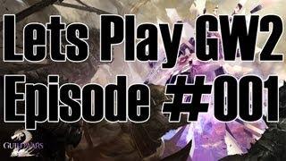 [1080p] Lets Play Guild Wars 2 Episode 001 - That Meddling Ehmry Bay! 05/07/2013