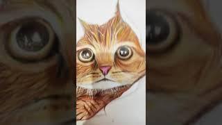 realistic cat drawing with coloured pencil#art #shorts