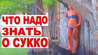 Сукко. Пляж. Кипарисовое озеро. Змеи. Анапа рядом! Отдых в Сукко