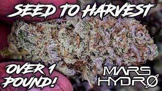 HOW I GREW OVER 1 POUND WITH 2 PLANTS!!! - Seed To Harvest | Mars Hydro FC-E6500 All In One Grow Kit