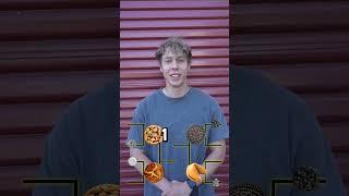 What is the Best Cookie?