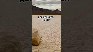 Живые камни в пустыне