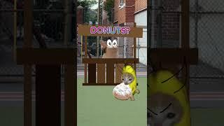 Banana Cat And Happy Cat School Day Part 10  #bananacat #catvideos #happycat #elgato