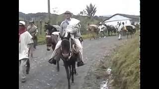 RECORRIDOS CON JAIR ARRIERÍA SAN FÉLIX, MARULANDA, MANZANARES EN EL DEPARTAMENTO DE CALDAS