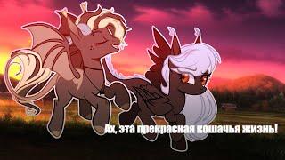 Ах, эта прекрасная кошачья жизнь!  [PMV/пони клип]