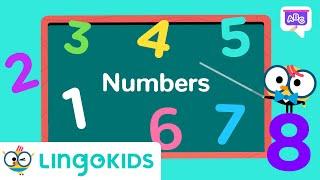 Learn Numbers with Lingokids | VOCABULARY FOR KIDS | Lingokids