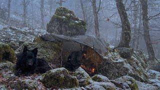 Caught in a Heavy Snowfall under rocks- Survival Shelter  - camping in Snowstorm