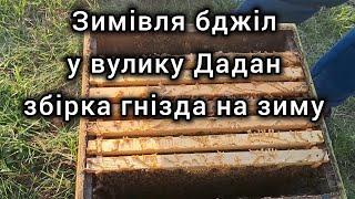 Правильна збірка зимового гнізда: покрокова інструкція